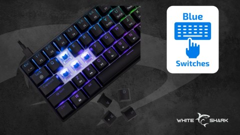 Klawiatura gamingowa White Shark Shinobi 2 Black USB Blue Switch RGB US