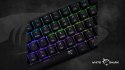 Klawiatura gamingowa White Shark Shinobi 2 Black USB Blue Switch RGB US
