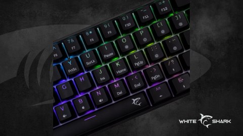 Klawiatura gamingowa White Shark Shinobi 2 Black USB Blue Switch RGB US