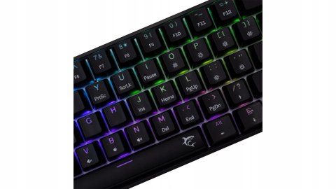 Klawiatura gamingowa White Shark Shinobi 2 Black USB Blue Switch RGB US