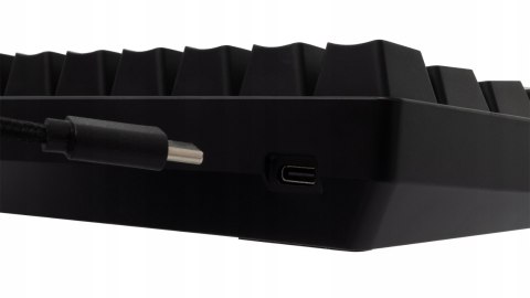 Klawiatura gamingowa White Shark Shinobi 2 Black USB Blue Switch RGB US