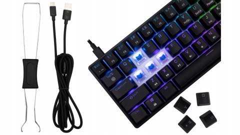 Klawiatura gamingowa White Shark Shinobi 2 Black USB Blue Switch RGB US