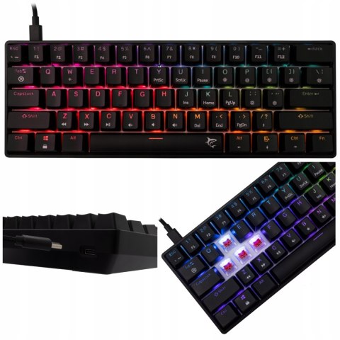 Klawiatura gamingowa White Shark Shinobi 2 Black USB Red Switch RGB US