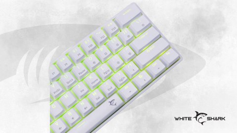 Klawiatura gamingowa White Shark Shinobi 2 White USB Blue Switch RGB US