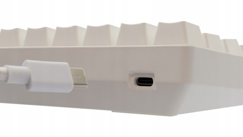 Klawiatura gamingowa White Shark Shinobi 2 White USB Blue Switch RGB US