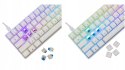 Klawiatura gamingowa White Shark Shinobi 2 White USB Blue Switch RGB US