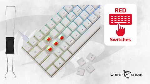 Klawiatura gamingowa White Shark Shinobi 2 White USB Red Switch RGB US