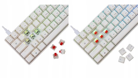 Klawiatura gamingowa White Shark Shinobi 2 White USB Red Switch RGB US
