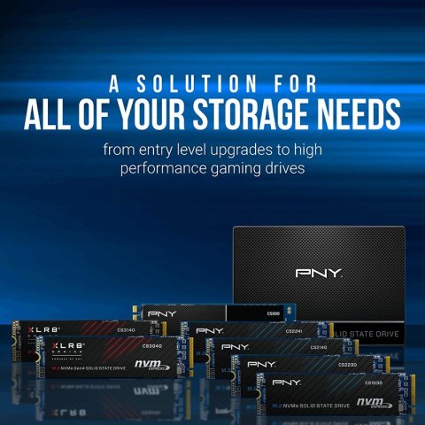 PNY Dysk SSD 1TB M.2 2280 CS2241 M280CS2241-1TB-RB