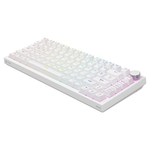 Savio Klawiatura magnetyczna ASTRAL White OUTEMU White jade RGB