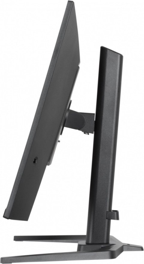 IIYAMA Monitor G-Master 31.5 cala GB3295QSU-B1 QHD,FastVA,240Hz,2xHDMI,DP,400cd,0,4ms, 2xUSB 3.2 , 2xUSB-C, HAS 150, FreeSync Premium -