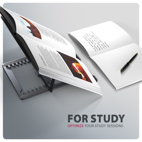 AXAGON STND-LAG Podstawa do laptopów aluminiowa 10-17,3 cala 8 regulowanych pozycji, Szara