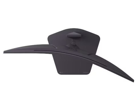 LG Electronics Monitor zakrzywiony 32 cale 32G600A-B