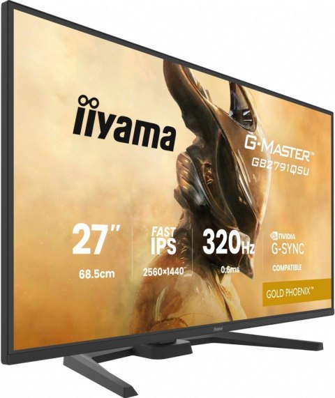IIYAMA Monitor 25 cali GB2791QSU-B1 0.6ms,DP,2xHDMI 2.1 ,320Hz, Fast IPS, WQHD,350 cd/m2, USB HUB x4 (2x Type-A, 2x Type-C), G-SYNC co