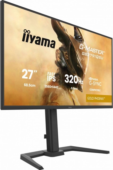 IIYAMA Monitor 25 cali GB2791QSU-B1 0.6ms,DP,2xHDMI 2.1 ,320Hz, Fast IPS, WQHD,350 cd/m2, USB HUB x4 (2x Type-A, 2x Type-C), G-SYNC co