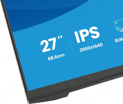 IIYAMA Monitor 27 cali XB2793QSU-B1 IPS, QHD, HDMI, DP, 2xUSB