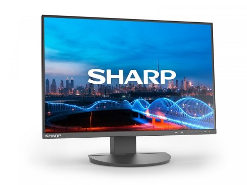 Sharp Monitor biznesowy MultiSync DD-EA241W 24 cale Czarny