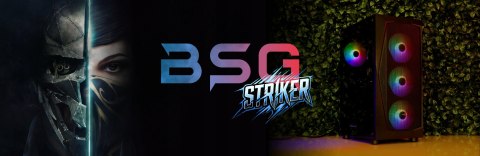 BSG Striker V12 AMD Ryzen 5 AMD Radeon RX 6600 16GB DDR4 512GB SSD Windows 11 Pro