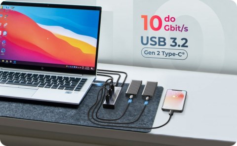 IcyBox HUB IB-HUB1450-C31 10 x USB TYPE-C Gen 2 z zasilaczem