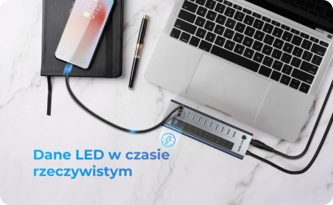 IcyBox HUB IB-HUB1450-C31 10 x USB TYPE-C Gen 2 z zasilaczem