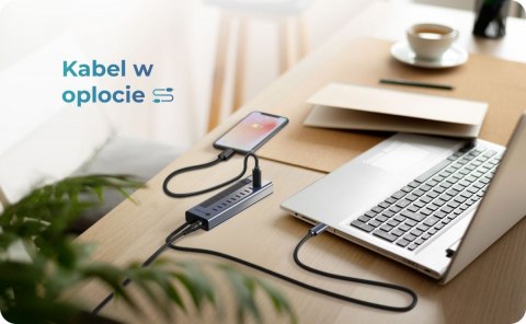 IcyBox HUB IB-HUB1450-C31 10 x USB TYPE-C Gen 2 z zasilaczem