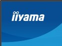 IIYAMA Monitor 24 cale XB2497HSN-B1 IPS, USB-C Dock,HDMI, DP, RJ45