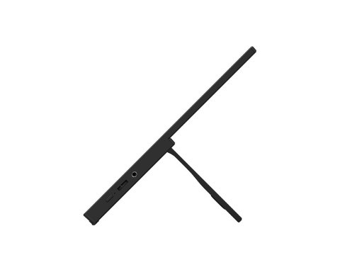 MSI Monitor 15.6 cala PRO MP165 E6 LED/FHD/Flat/60Hz/czarny