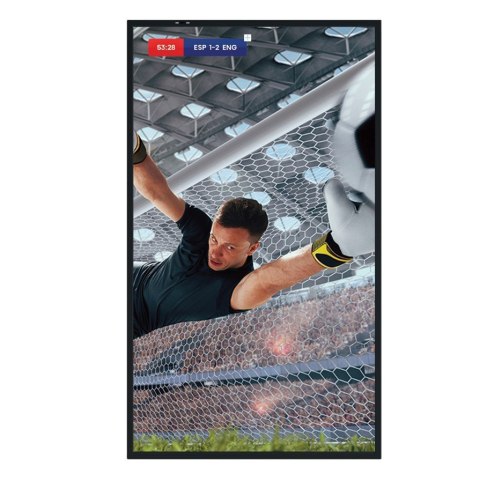 Hisense Monitor 55DM66D 55 cali 4K UHD IPS Digital Signage Display 24/7