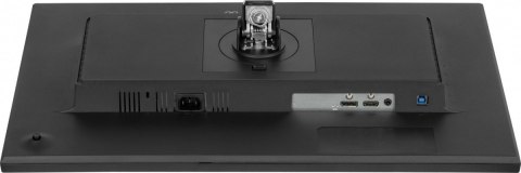 IIYAMA Monitor 24 cale XB2495WSU-B1 IPS,16:10,350cd,4ms,HDMI, 100Hz,1500:1, 4xUSB,2x2W,HAS150 (PIVOT)