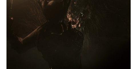 Sony Gra PlayStation 4 Bloodborne GOTY