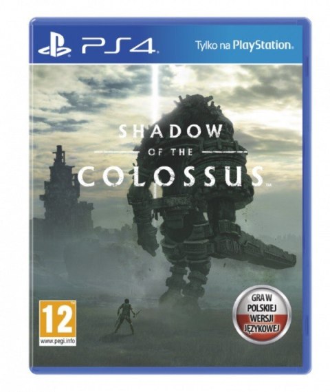 Sony Gra PlayStation 4 Shadow of the Colossus PL