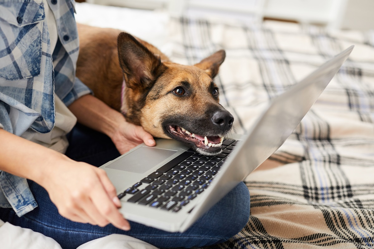 Laptop, ultrabook, a może notebook - jakie są różnice?